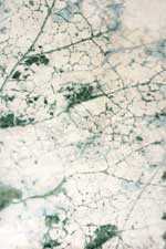 Leaf Vein Hand Knotted Rug