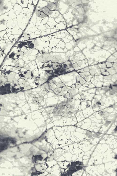 Leaf Vein Wool and Silk Rug